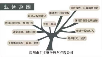 深圳进出口经营权与代理进出口服务全解析